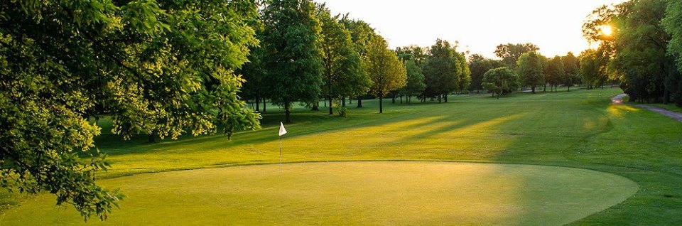 White Pines 1.jpg